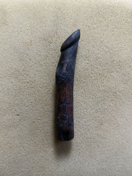 ปลัดขิกมีรอยจานไม่ทราบที่ รูปที่ 4