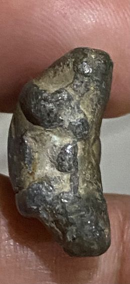 ปิดตา ลป.เอี่ยม วัดหนัง รูปที่ 4