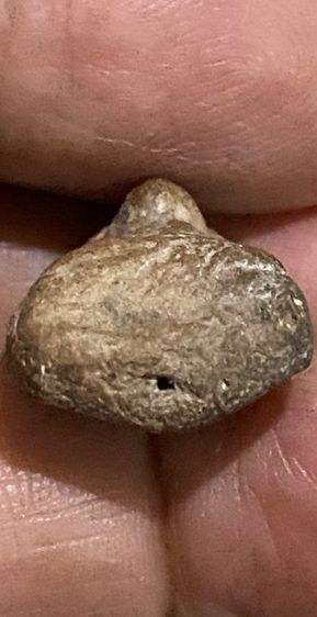 พระกรุวัดตะไกร หน้าครุฑ รูปที่ 5