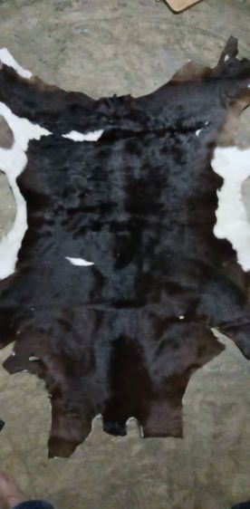 หนังวัว