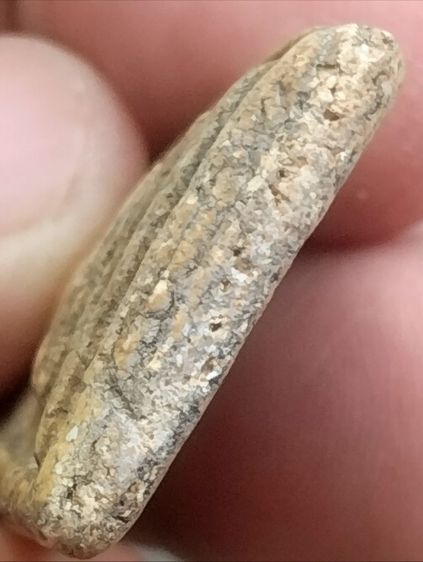 สมเด็จวัดระฆังพิมพ์ใหญ่เนื้อหาสวยมวลสารชัดในราคาแบ่งปัน รูปที่ 6