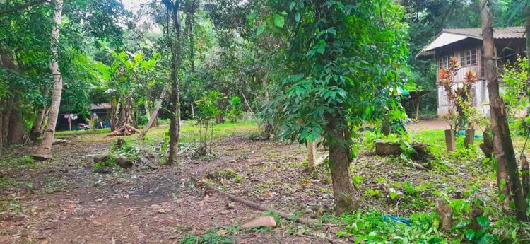 ใช่ ขายที่ดินพร้อมบ้าน รูปที่ 2