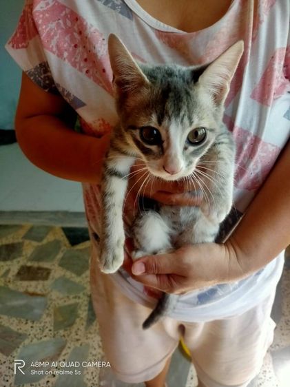 สลิดผสมก๊อตติส รูปที่ 5