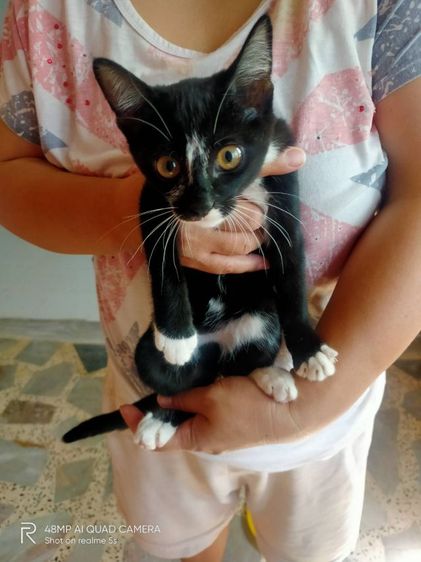 สลิดผสมก๊อตติส