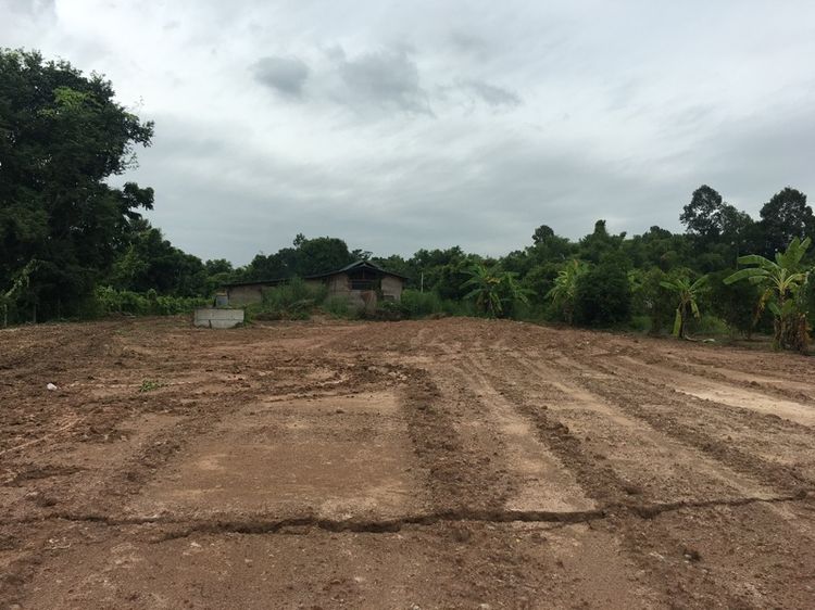 ใช่ ขายที่ดินและสิ่งปลูกสร้าง 3 ไร่ 76 ตารางวา อ.บ้านนา จ.นครนายก รูปที่ 4