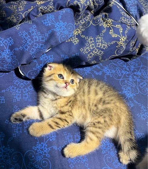 หาบ้านเด็กๆจ้า 5500 รูปที่ 2