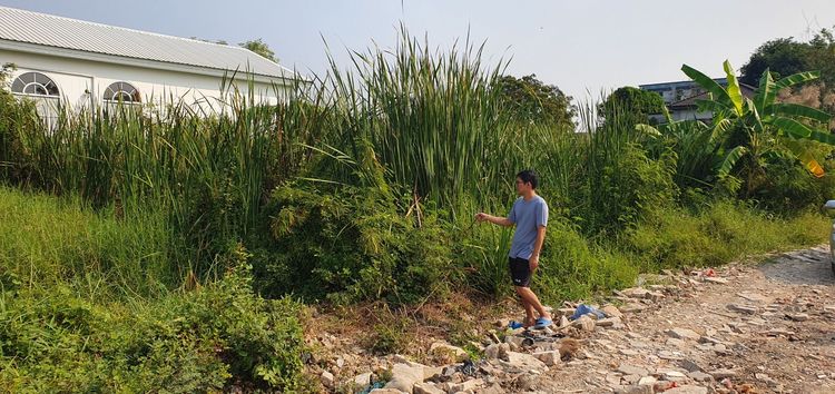 ที่ดินเปล่า 97 ตรว. ในหมู่บ้านพูลศรี ใกล้รร.สาธิตปทุม จังหวัดปทุมธานี