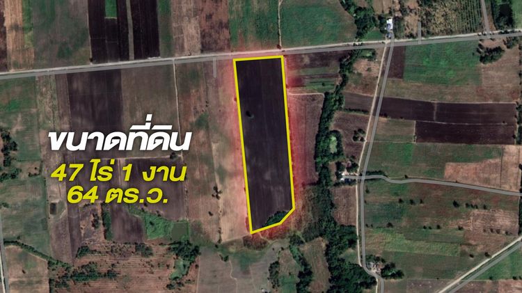 🔥 ขายที่ดินพื้นที่สีม่วง 47 ไร่ ทำโรงงานได้ ทำไร่ได้ ที่สวย ราคาดี เจ้าของขายเอง ❗❗ รูปที่ 3