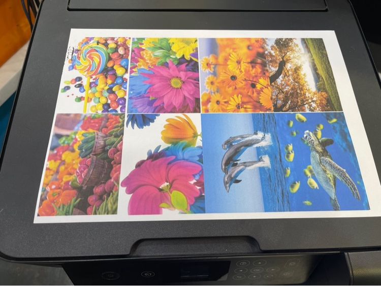 Epson L416 WI-FI  รูปที่ 6