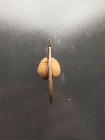 พระเหรียญหลวงพ่อหน่าย ห่วงเชื่อม รุ่น 4 วัดบ้านแจ้ง จ.พระนครศรีอยุธยา  รูปที่ 2