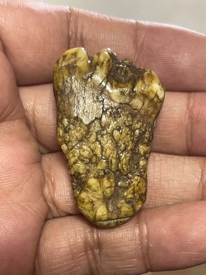 ของสะสม