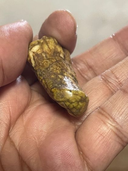 ของสะสม รูปที่ 7