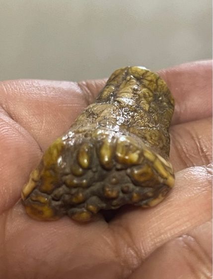 ของสะสม รูปที่ 3