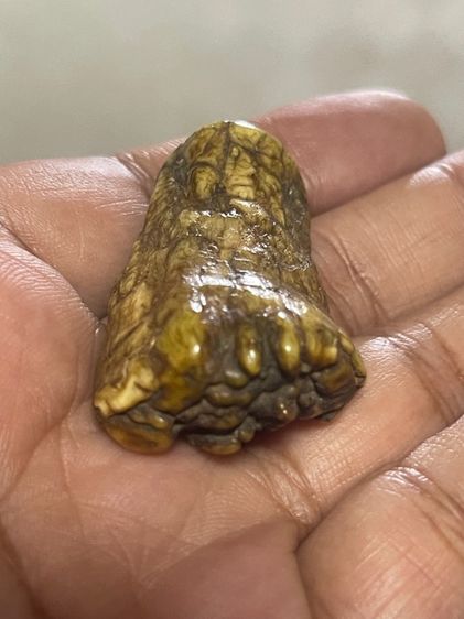 ของสะสม รูปที่ 4