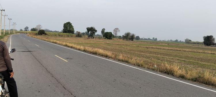 ใช่ ขายที่ดินอยู่ที่บ้านหนองกระทุ่ม เดิมบางนางบวช รูปที่ 2