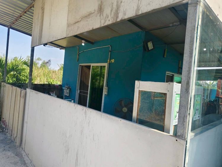 อื่นๆ ไม่มี 2023 ขายด่วนบ้านปลูกเอง ใกล้ซอยมิตรไมตรี 12 ถ.มิตรไมตรี หนองจอก รูปที่ 3