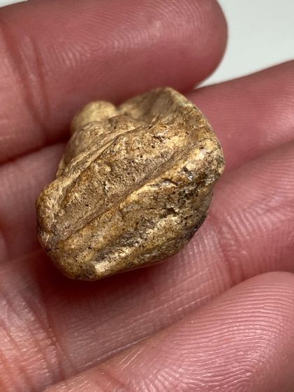 พระปางสมาธิเนื้อผง รูปที่ 5