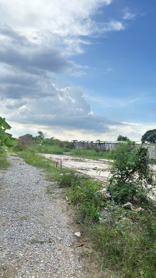 ด่วน ให้เช่าที่ดินถมแล้ว เขตทวีวัฒนา กรุงเทพฯ ใกล้มหิดล ศาลายา สนามหลวง2 ราคาถูกมาก รูปที่ 3