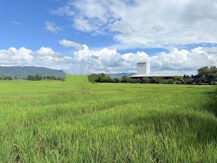 ด่วน ขายที่ดิน 75 ไร่ ทำเลทองเศรษฐกิจใกล้จีนและลาว รูปที่ 2