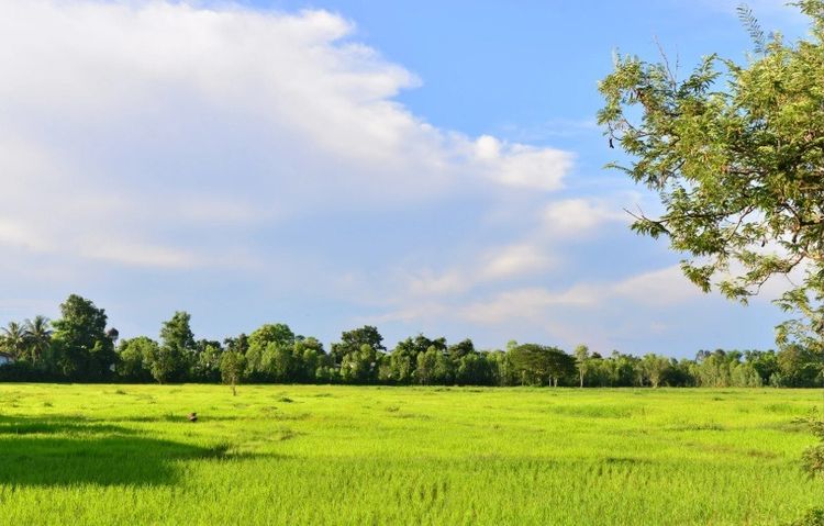 ด่วน ขายที่ดิน 75 ไร่ ทำเลทองเศรษฐกิจใกล้จีนและลาว