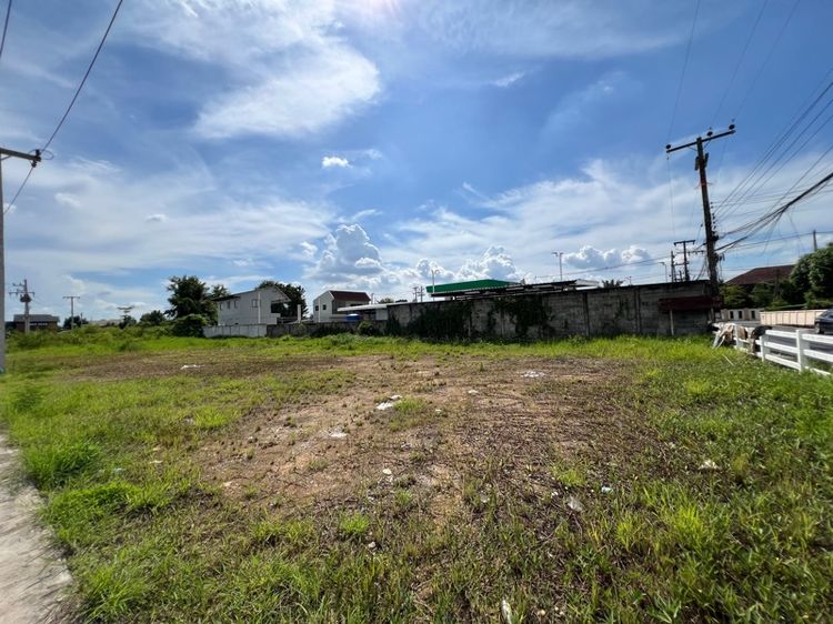 ใช่ ที่ดิน ดอยสะเก็ดแม่คือจังหวัดเชียงใหม่ รูปที่ 4