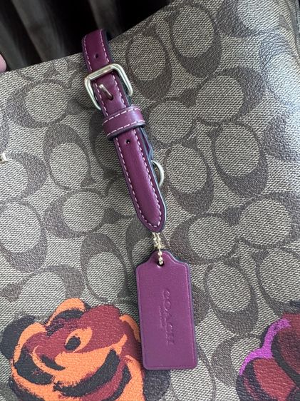 Coach Jumbo Floral Mollie tote  3Compartment handbag รูปที่ 4