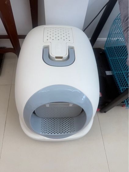 ห้องน้ำแมว รูปที่ 6