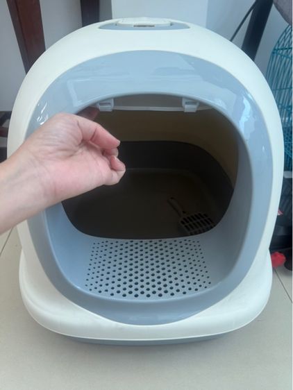 ห้องน้ำแมว รูปที่ 5