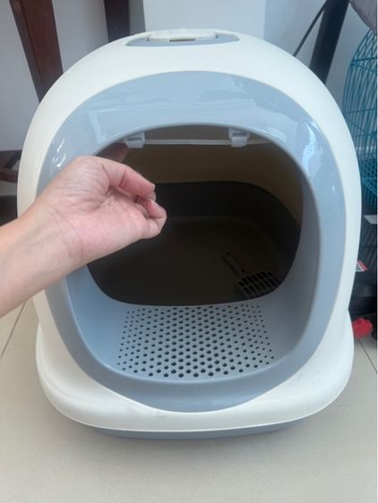 ห้องน้ำแมว รูปที่ 4