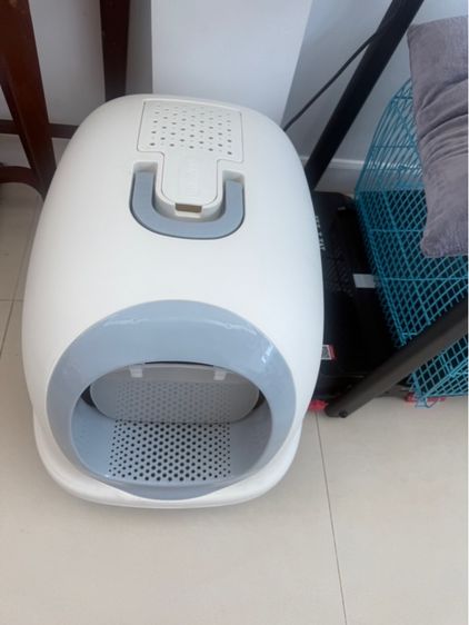 ห้องน้ำแมว รูปที่ 3