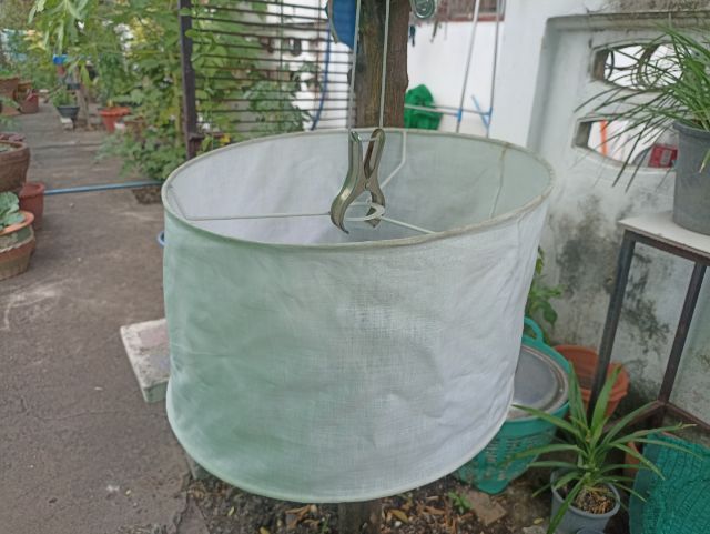 โคมไฟฟ้า รูปที่ 4