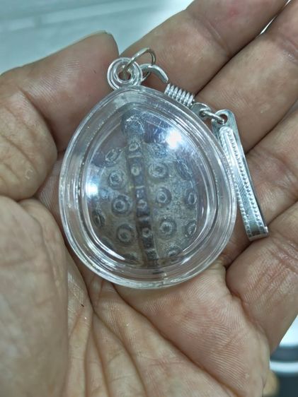 เต่าพร้อมเลี่ยมไม่ทราบหลวงพ่อ