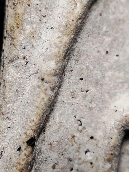 พระสมเด็จตามสภาพเลยครับ รูปที่ 17