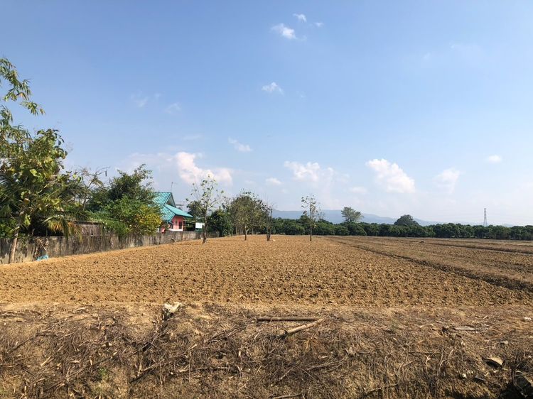 ขายที่ดิน