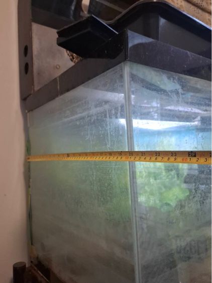 ตู้แก้วเลี้ยงสัตว์น้ำ รูปที่ 3