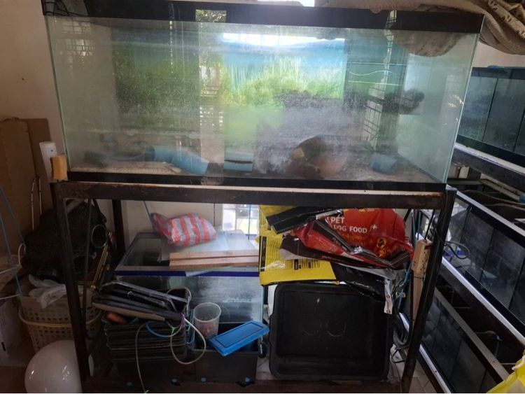 ตู้แก้วเลี้ยงสัตว์น้ำ