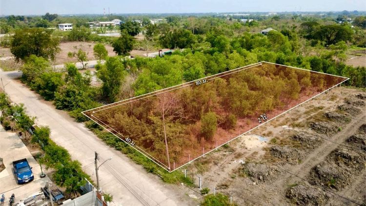 ขายด่วนที่ดิน 2 ไร่ ถมแล้ว คลอง 2 คลองหลวง จ.ปทุมธานี ใกล้ตลาดไท – วัดพระธรรมกาย รูปที่ 3