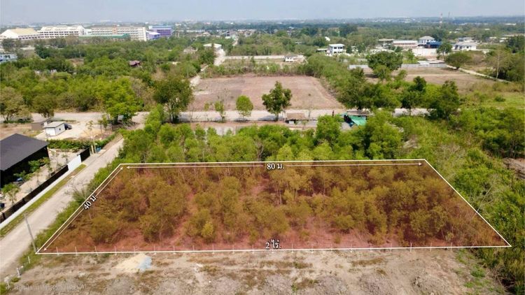 ขายด่วนที่ดิน 2 ไร่ ถมแล้ว คลอง 2 คลองหลวง จ.ปทุมธานี ใกล้ตลาดไท – วัดพระธรรมกาย รูปที่ 2