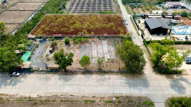 ขายด่วนที่ดิน 2 ไร่ ถมแล้ว คลอง 2 คลองหลวง จ.ปทุมธานี ใกล้ตลาดไท – วัดพระธรรมกาย