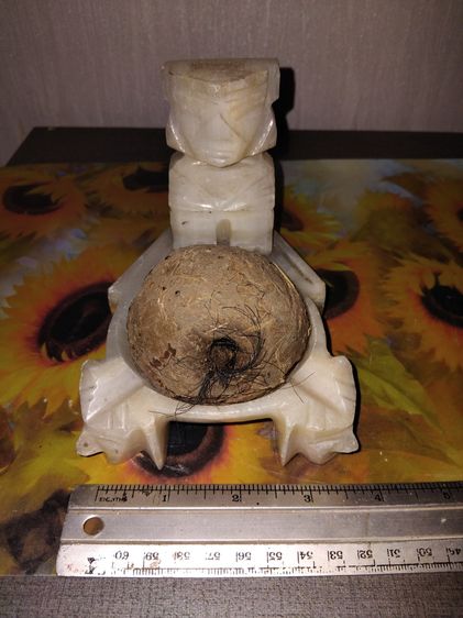 ดินติดหางพญาควาย ขนาดกลมใหญ่เท่าลูกมะขวิด มีน้ำหนัก แข็ง เนื้อแน่น มีรูและขนหางของควายติดอยู่หลายๆเส้น เนื้อดินผสมมวลสารแร่ธาตุต่างๆ เกิดขึ้ รูปที่ 6