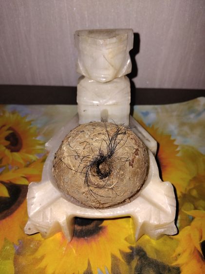 ดินติดหางพญาควาย ขนาดกลมใหญ่เท่าลูกมะขวิด มีน้ำหนัก แข็ง เนื้อแน่น มีรูและขนหางของควายติดอยู่หลายๆเส้น เนื้อดินผสมมวลสารแร่ธาตุต่างๆ เกิดขึ้ รูปที่ 5