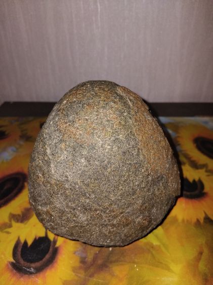 โคตรเหล็กไหล ทรงรูปกลมมน สีดำอมเทา แข็ง ขนาดยาวประมาณ 5 นิ้ว เส้นผ่าศูนย์กลาง 2.5 นิ้ว น้ำหนักมาก เกิดขึ้นเองตามธรรมชาติ จากภูเขา เป็นธรรมชา รูปที่ 4