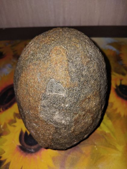 โคตรเหล็กไหล ทรงรูปกลมมน สีดำอมเทา แข็ง ขนาดยาวประมาณ 5 นิ้ว เส้นผ่าศูนย์กลาง 2.5 นิ้ว น้ำหนักมาก เกิดขึ้นเองตามธรรมชาติ จากภูเขา เป็นธรรมชา รูปที่ 2