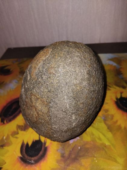 โคตรเหล็กไหล ทรงรูปกลมมน สีดำอมเทา แข็ง ขนาดยาวประมาณ 5 นิ้ว เส้นผ่าศูนย์กลาง 2.5 นิ้ว น้ำหนักมาก เกิดขึ้นเองตามธรรมชาติ จากภูเขา เป็นธรรมชา รูปที่ 3