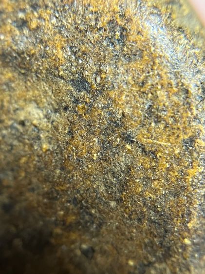 พระซุ้มกอพิมพ์กำไลแขนสามป้อง รูปที่ 10