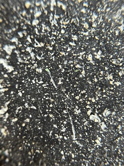 พระผงสมเด็จ ฐานบัว ขาสิงห์เนื้อผงใบลาน รูปที่ 11