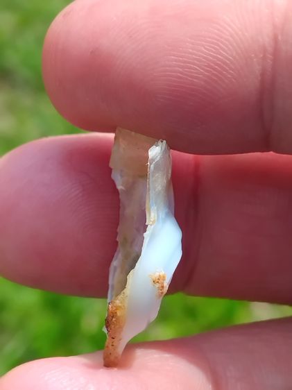 คตตาปลาหมึก รูปทรงกลมเหมือนตาปลาหมึก สีขาวอมชมพู แข็ง ขนาดยาวประมาณ 1 ซม. เส้นผ่าศูนย์กลาง 1 ซม. น้ำหนักเบา เกิดขึ้นเองตามธรรมชาติ เป็นธรรมช รูปที่ 4