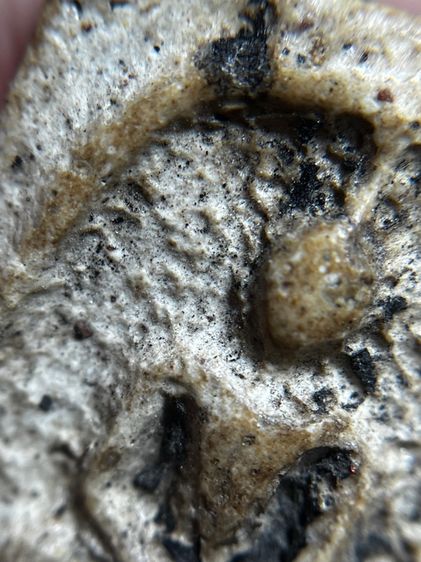 พระสมเด็จพิมพ์ใหญ่สังฆาฏิ รูปที่ 9