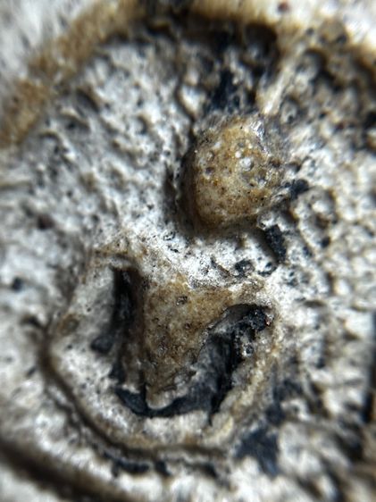 พระสมเด็จพิมพ์ใหญ่สังฆาฏิ รูปที่ 5