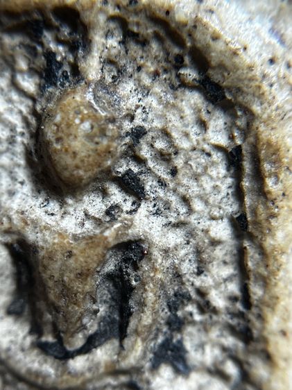 พระสมเด็จพิมพ์ใหญ่สังฆาฏิ รูปที่ 7